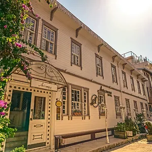 Avicenna Sultanahmet Istanboel